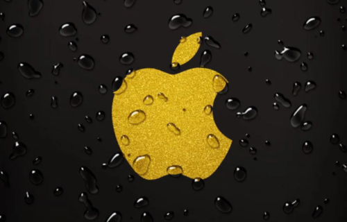ios企业开发者账号市场价格
